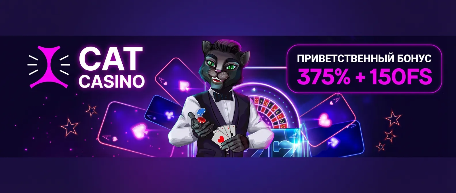 Cat казино баннер